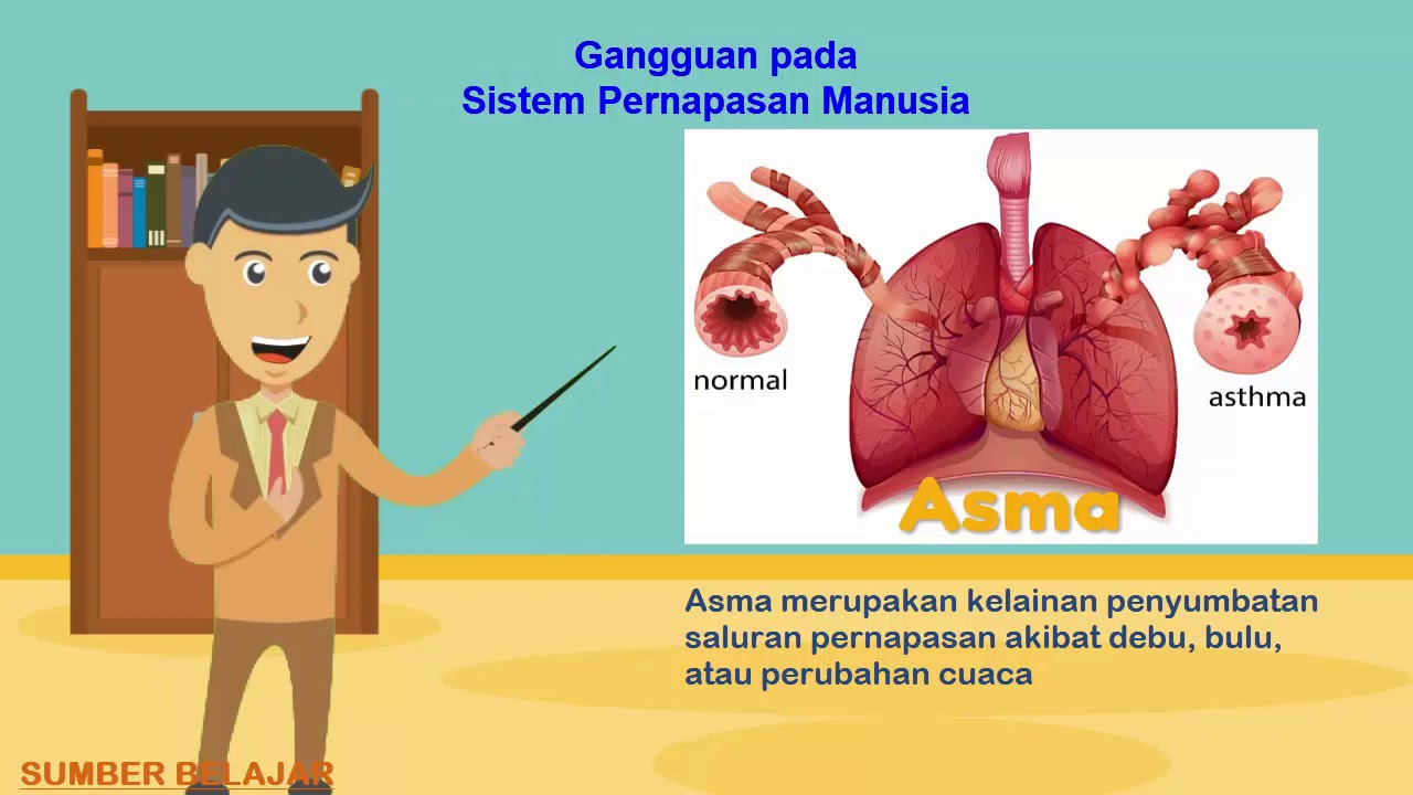 Gangguan Pada Sistem Pernapasan Manusia - Homecare24
