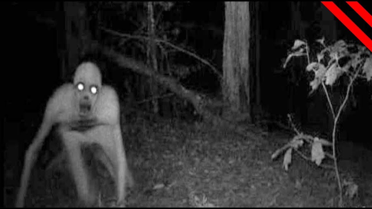 5 Scariest Creatures Caught On Camera Spotted In Real - vrogue.co