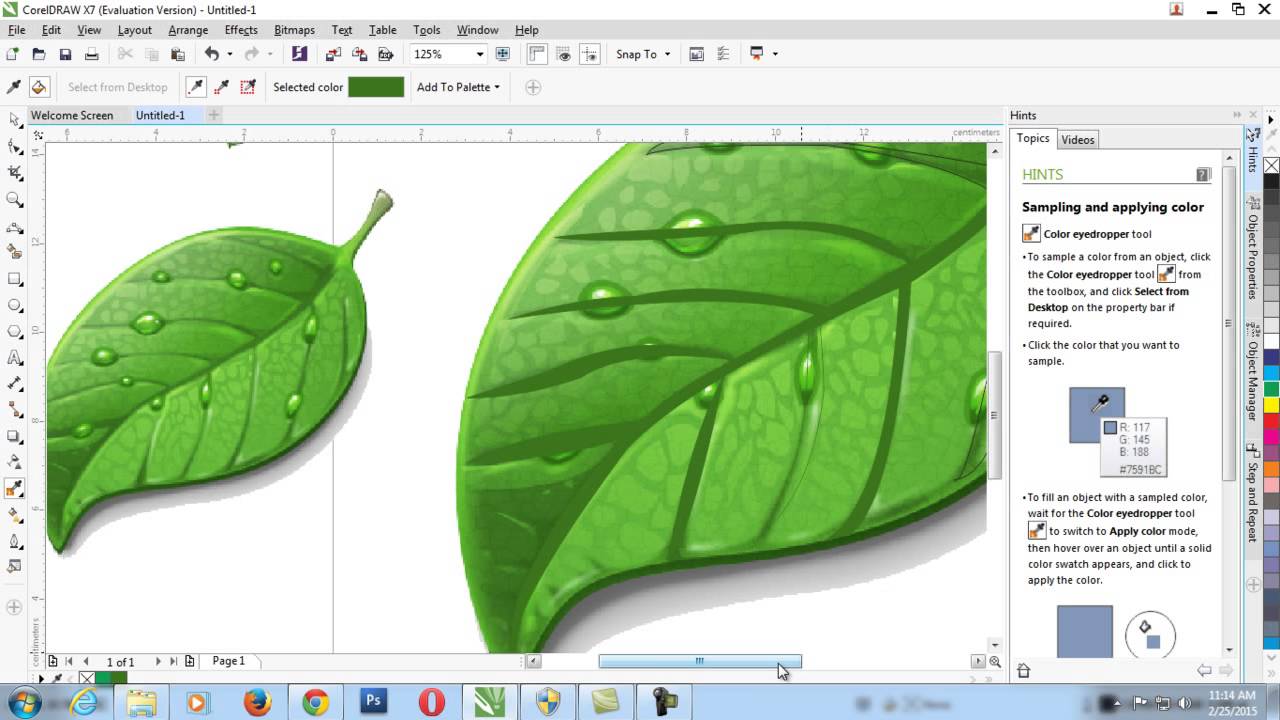 Cara Membuat Daun Di Corel Draw Desain Bila Rasa