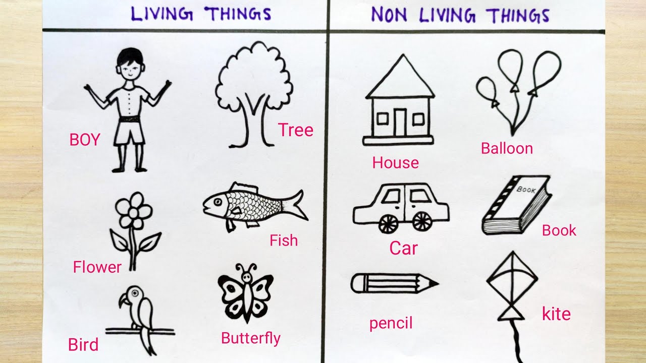 How To Sketch Of Living And Non Living Things Living Things Sketch Easy