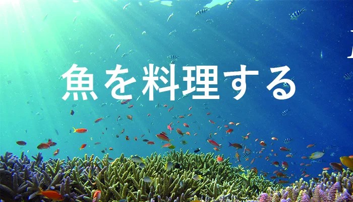 夢占い 蛇を捕まえる夢は金運アップのサイン 夢占いと夢診断で徹底解説 ゆるスピ 夢占い 蛇を捕まえる夢は金運アップのサイン 夢占いと夢診断で徹底解説 ゆるスピ