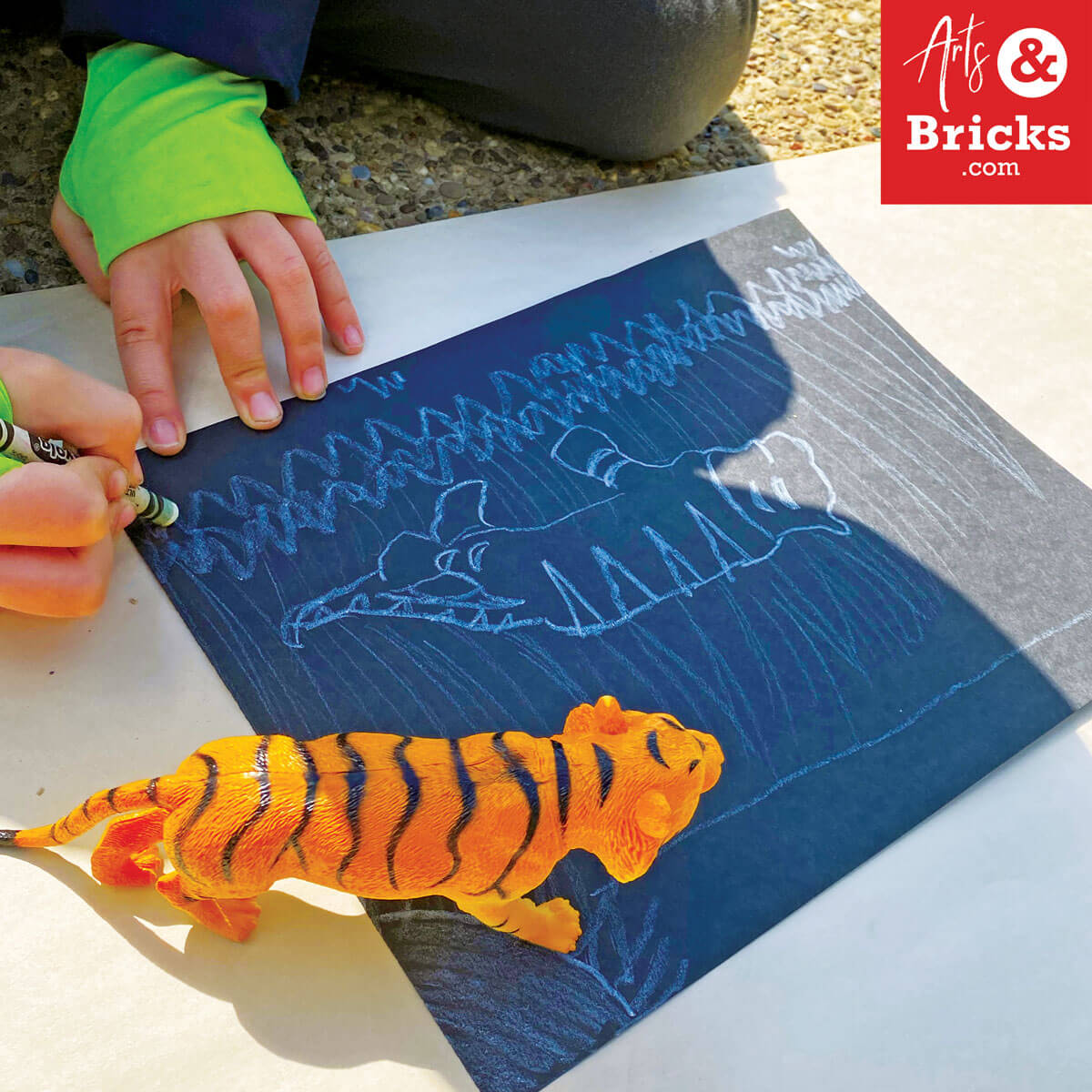 Draw an environment for your toy animal using shadow tracing outside.