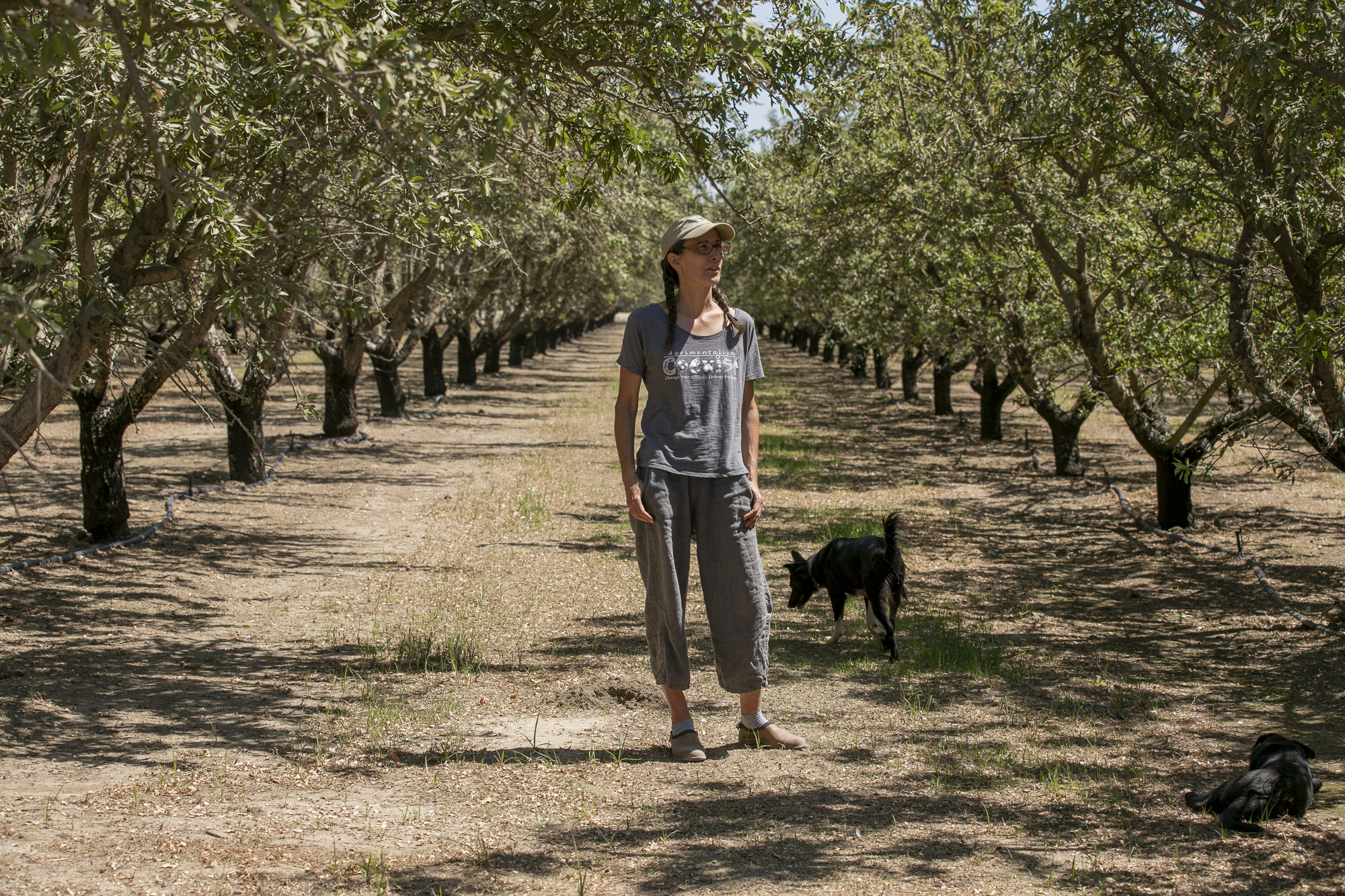 Almond farmer Christine Gemperle in her Ceres almond grove on Aug. 25, 2021. Gemperle has experimented with new irrigation systems and different breeds of almonds to counteract her dry, salty land. Photo by Anne Wernikoff, CalMatters