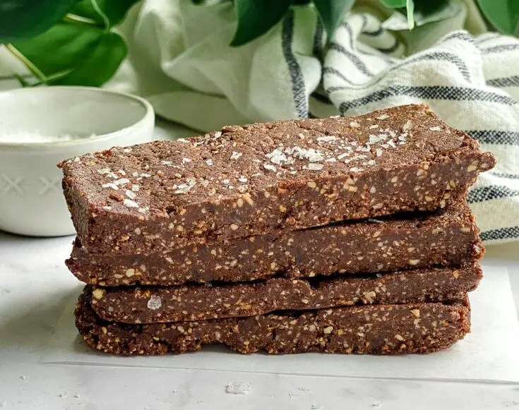 Homemade Chocolate Sea Salt RxBars (Vegan, Paleo)