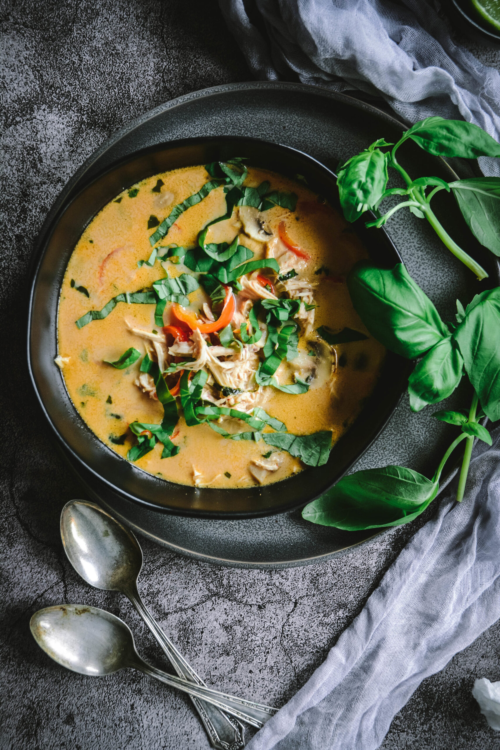 Thai Coconut Chicken Soup