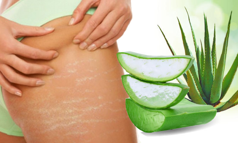 Aloe Vera La Guida Definitiva Benefici E Tips Per Capelli Pelle E Unghie