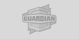 bottom-guardian bottom-guardian