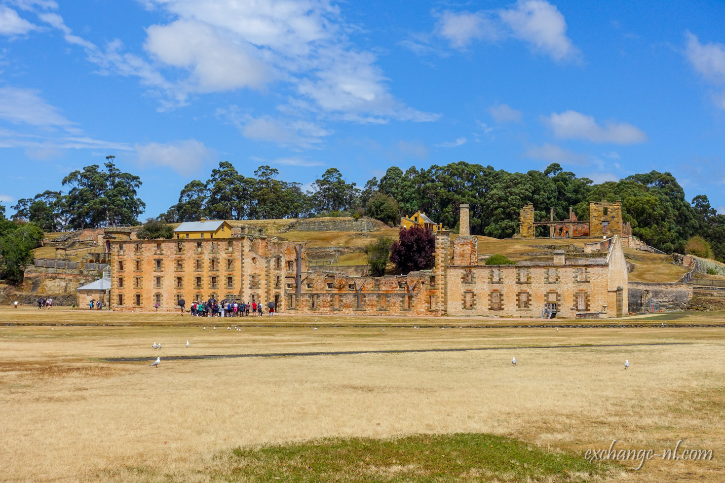 塔斯曼尼亞亞瑟港監獄遺迹 Penitentiary Ruins at Port Arthur, Tasmania