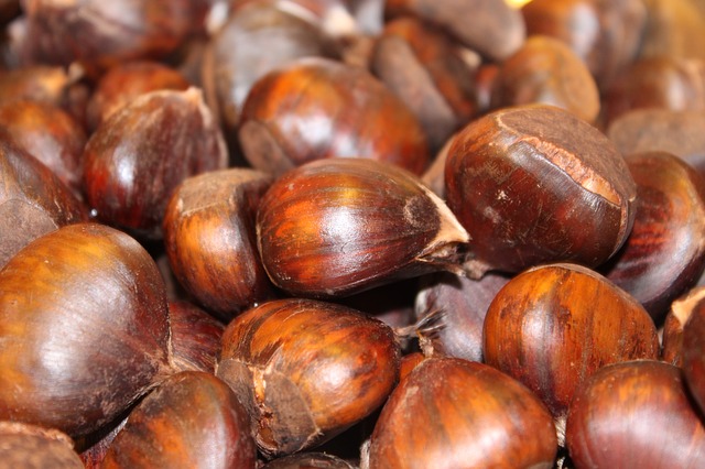 Come Cucinare Le Castagne E Conservarle A Lungo Con Metodi Tradizionali
