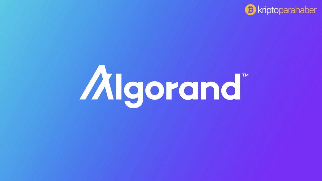 Algorand, Blockchain uygulamalarına özel bir programlama dili tasarladı.