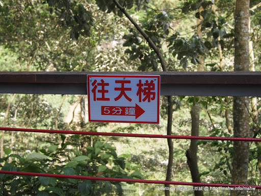 就算覺得可怕也要往前走... 南投竹山"天梯/梯子吊橋"太極峽谷風景區 區域 南投縣 旅行 景點 竹山鎮