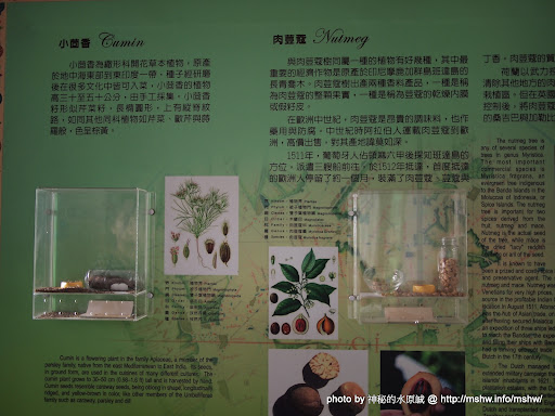 哪裡好吃哪裡去:美食避雷箴 拿自己平常扣的錢出去玩! ~ 佑全保健藥粧2011員工旅遊: 高雄鼓山篇 Day2/Part3 拿自己平常扣的錢出去玩! ~ 佑全保健藥粧2011員工旅遊: 高雄鼓山篇 Day2/Part3 區域 旅行 景點 高雄市 鼓山區