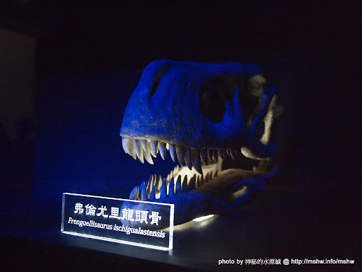 【景點】地球上最古老的恐龍展@台北中正紀念堂 : 恐龍這東西還真複雜阿 中正區 區域 博物館 台北市 嗜好 廣告 新聞與政治 旅行 會展 歷史 自然科學