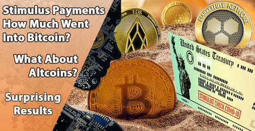 Stimulus Payments - How Much Went Into Bitcoin? 1 Stimulus Payments - How Much Went Into Bitcoin? 1