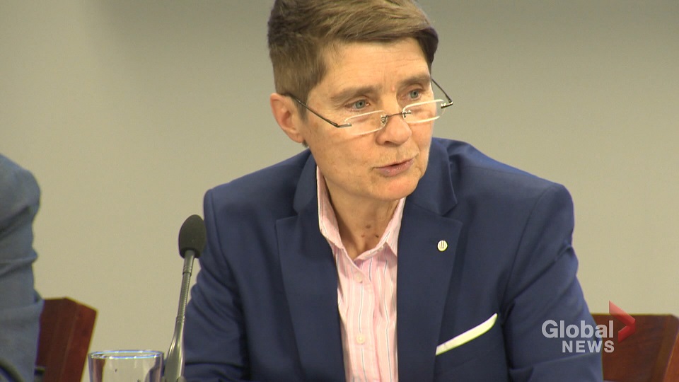 Click to play video: 'It’s ‘more important than ever’ for government to protect data: privacy commissioner'