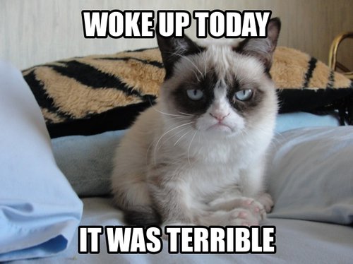 Grumpy Cat says