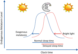 Delayed Sleep Phase Syndrome Neupsy Key