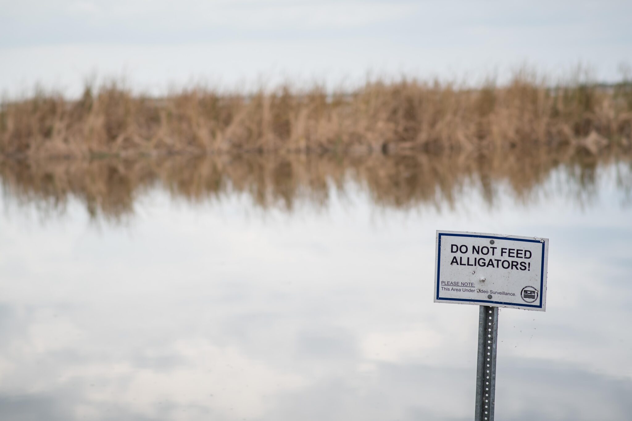 lake apopka wildlife drive