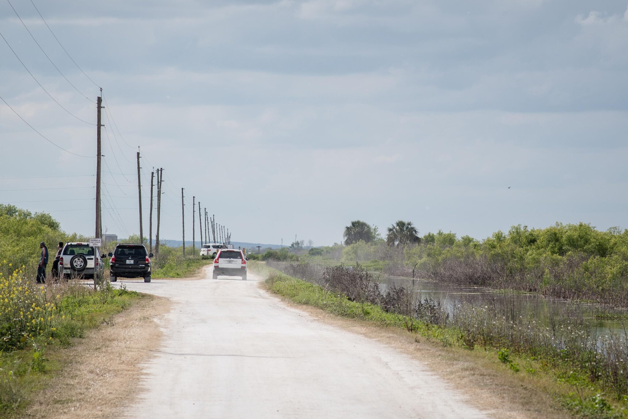 lake apopka wildlife drive