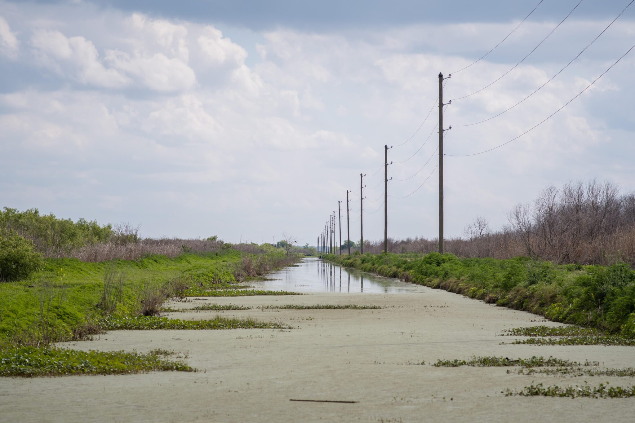 lake apopka wildlife drive
