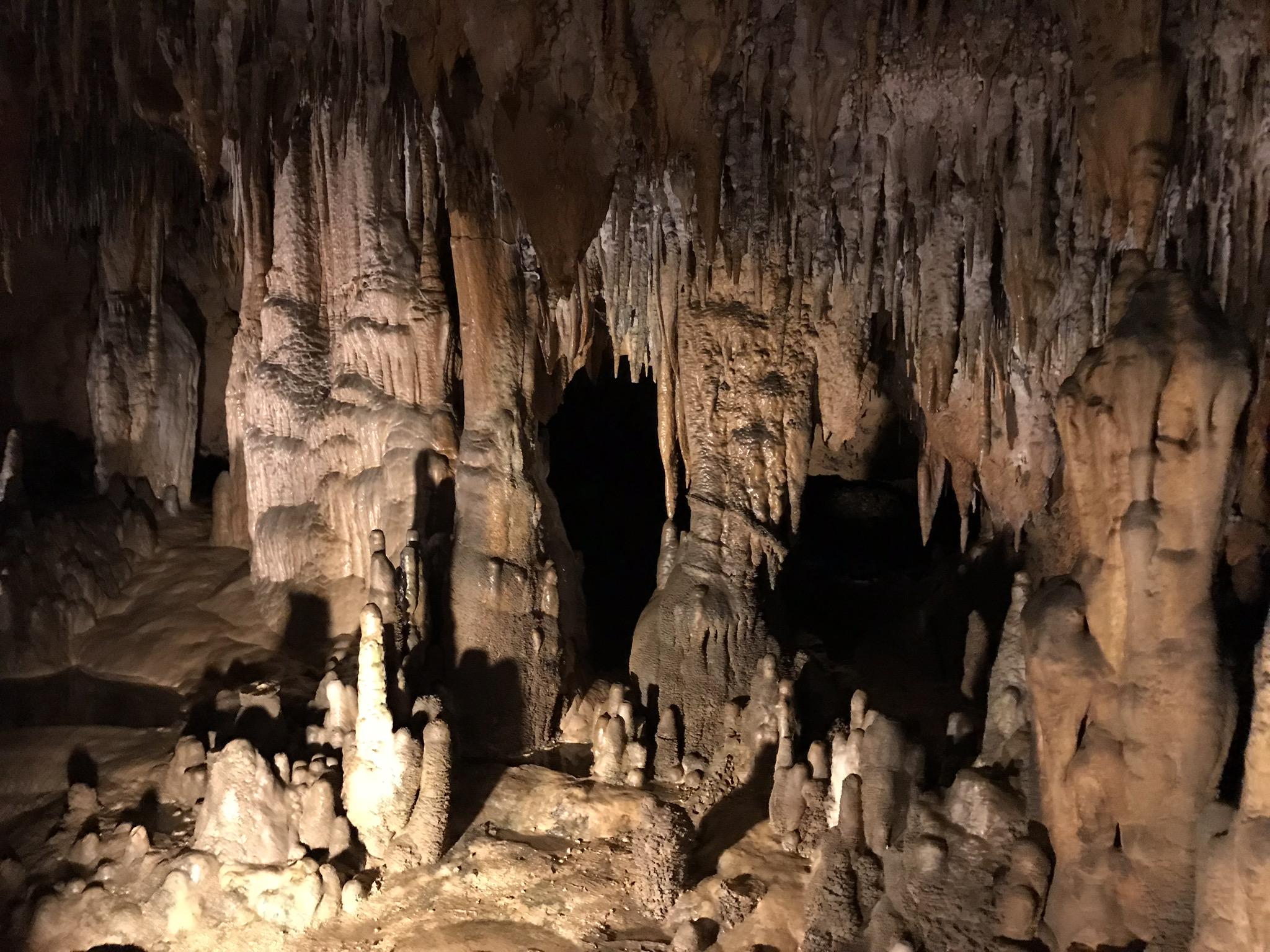 florida caverns state park