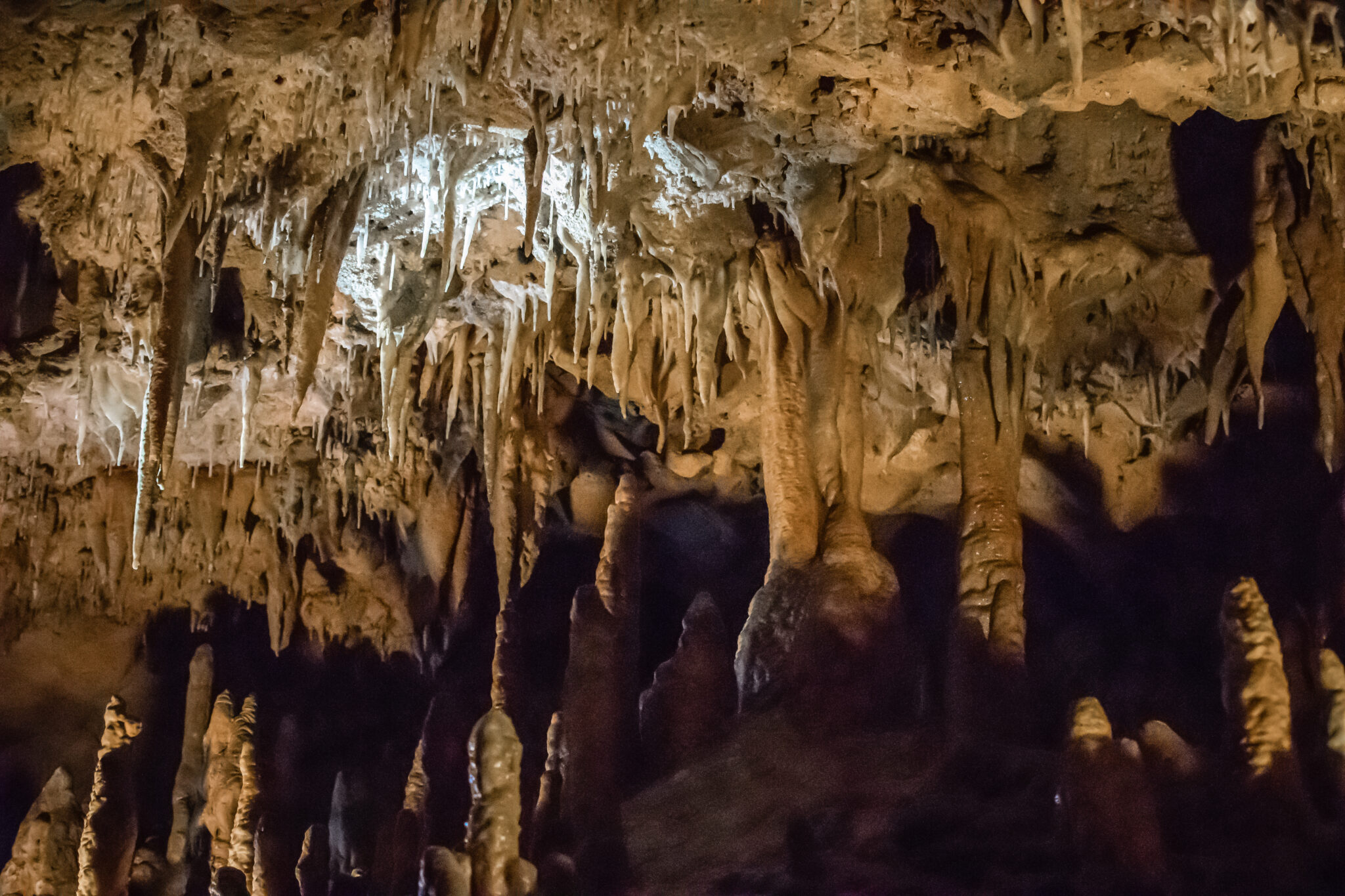 adventure travel on florida caverns tour