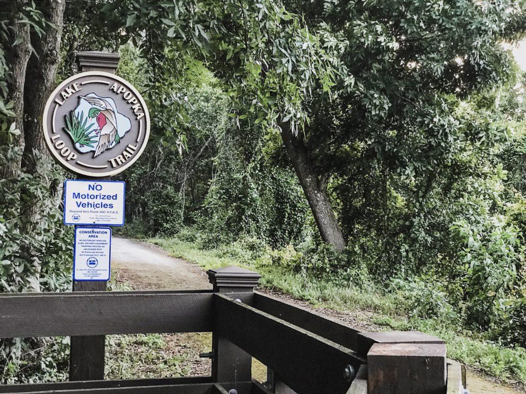 hiking in lake apopka