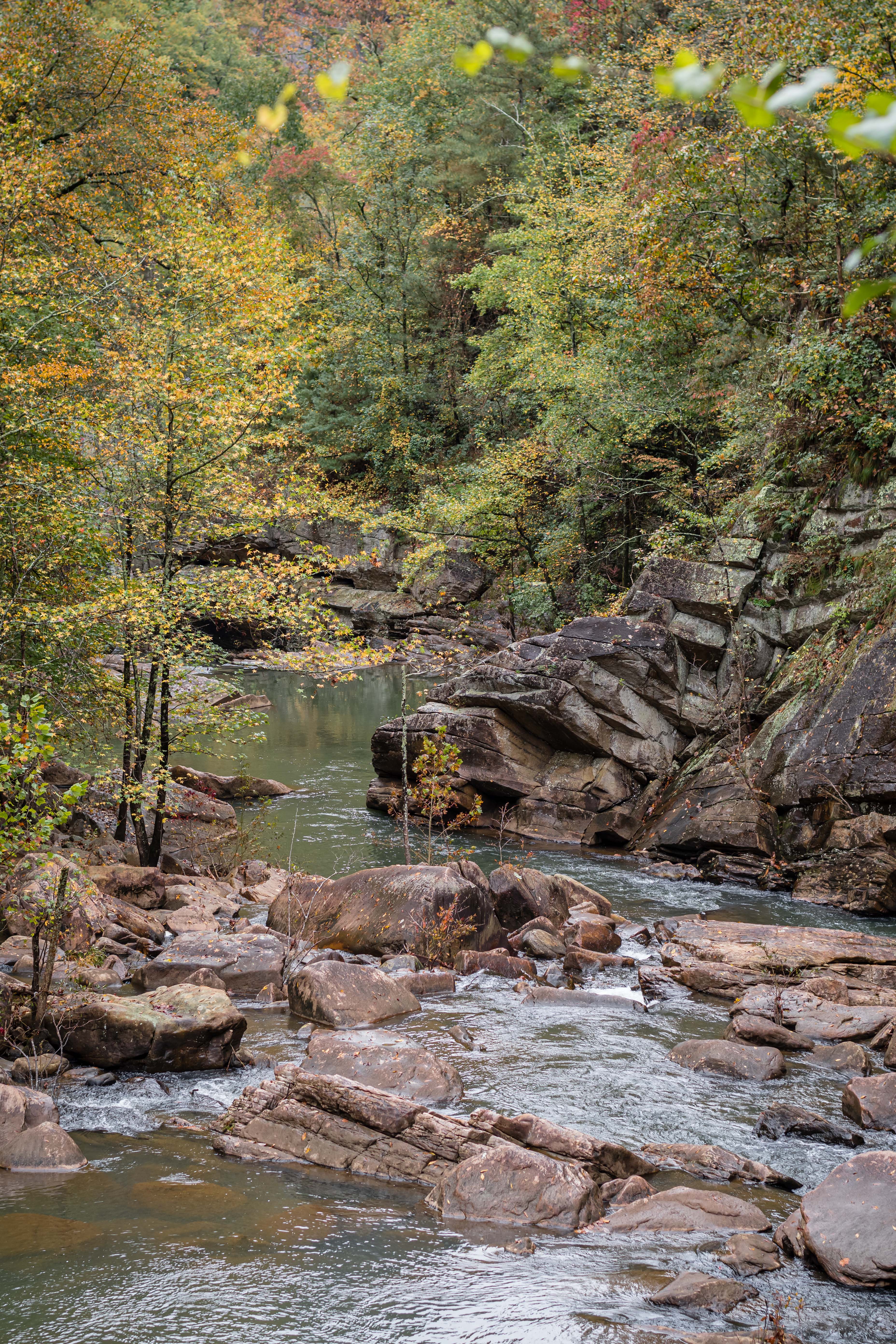 Gorge Floor at Tallulah Gorge State Park