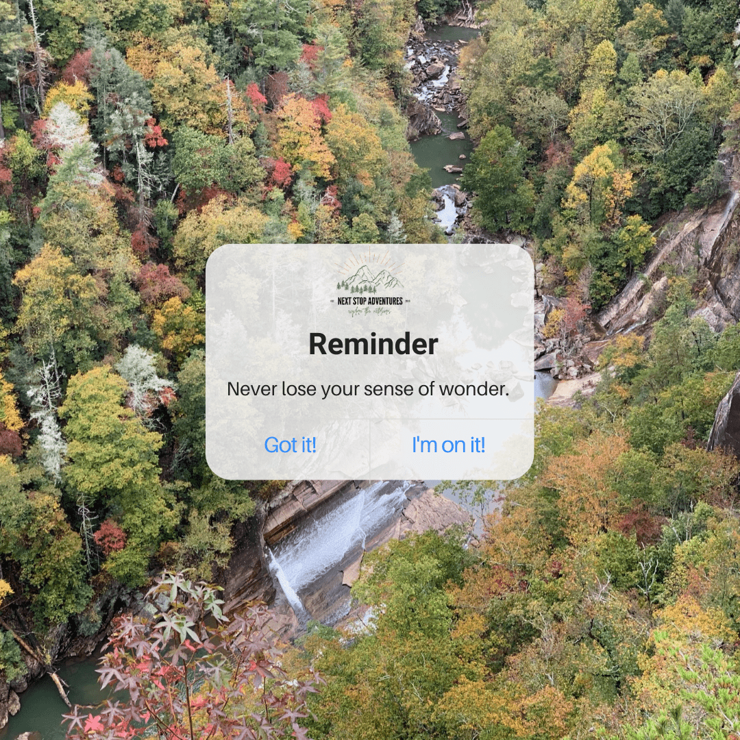 hiking and waterfalls at tallulah gorge state park in Georgia