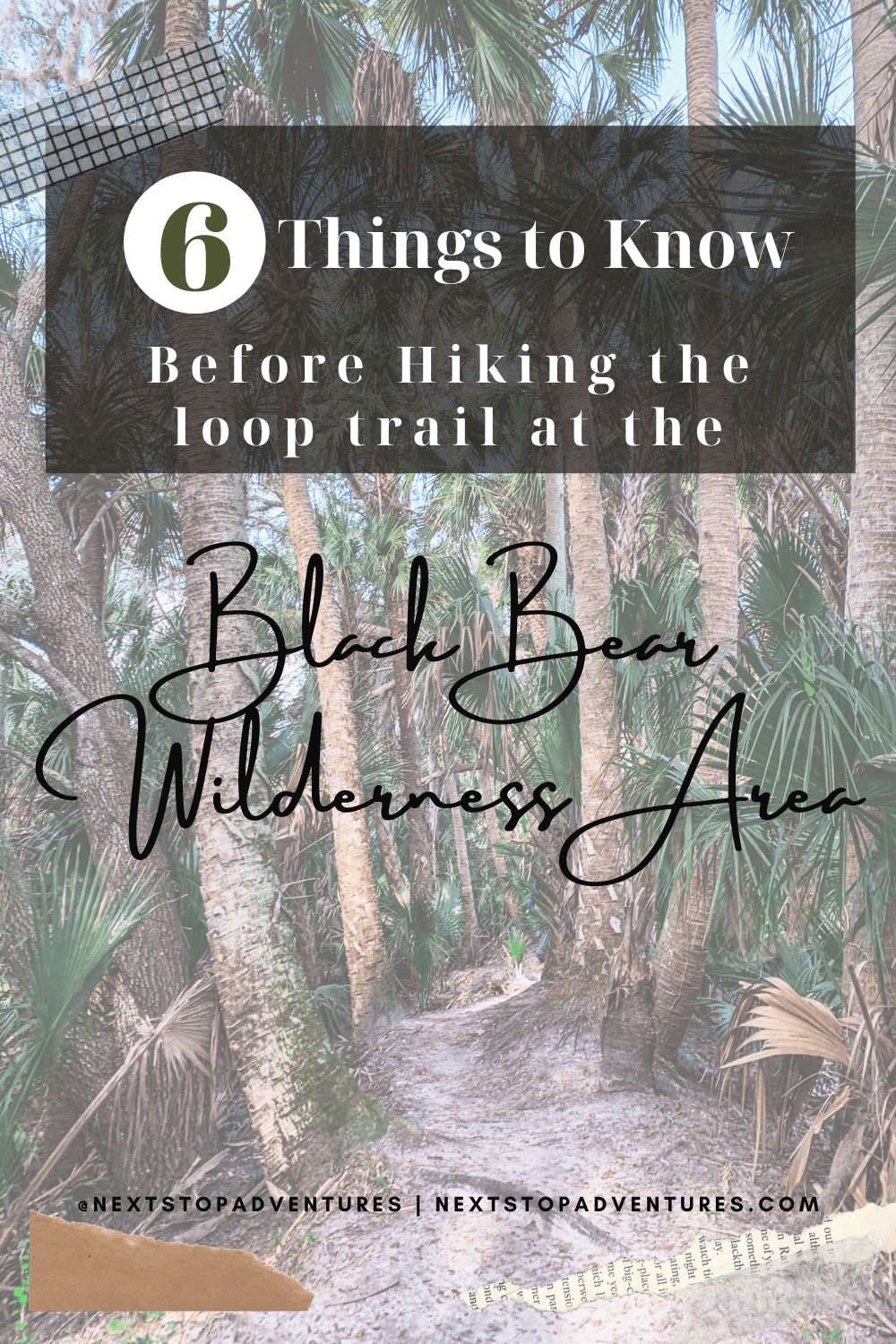 6 Things to Know Before Hiking the Black Bear Wilderness Area