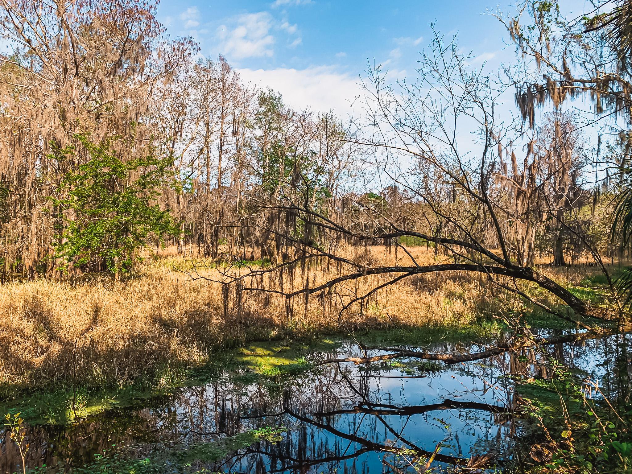 scenic views on black bear wilderness area