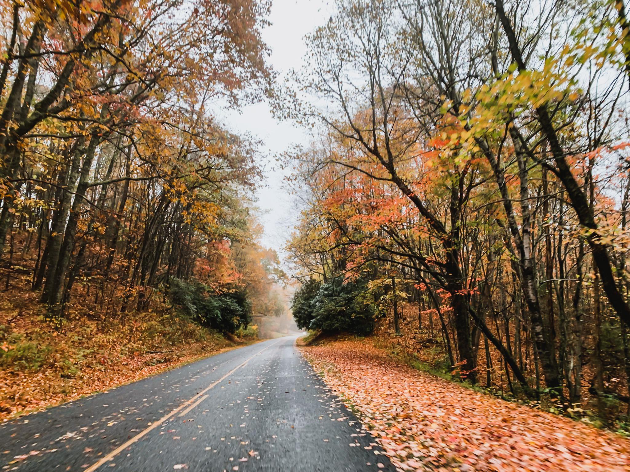 blue ridge parkway scenic drive