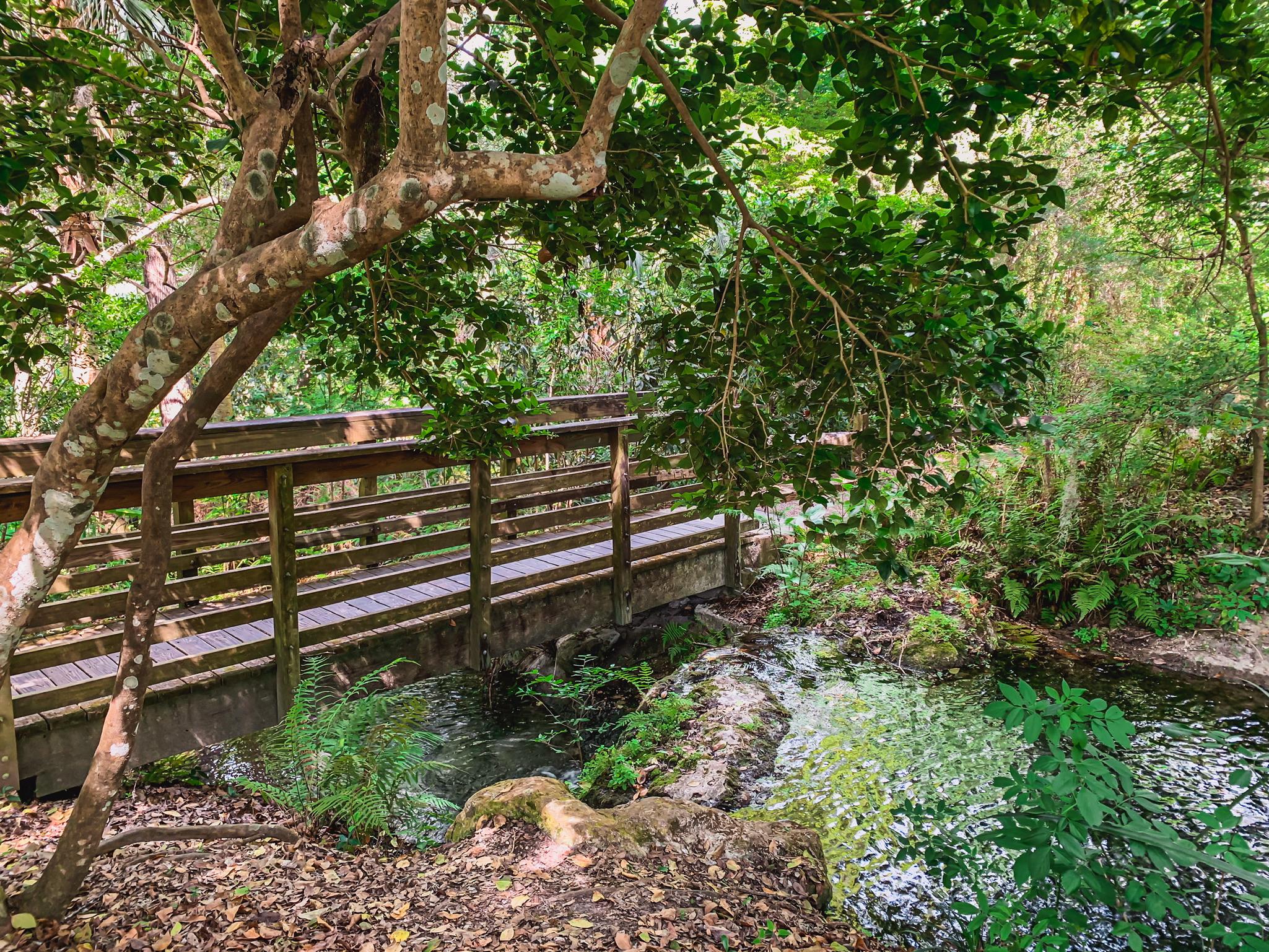 boardwalks in Florida state parks