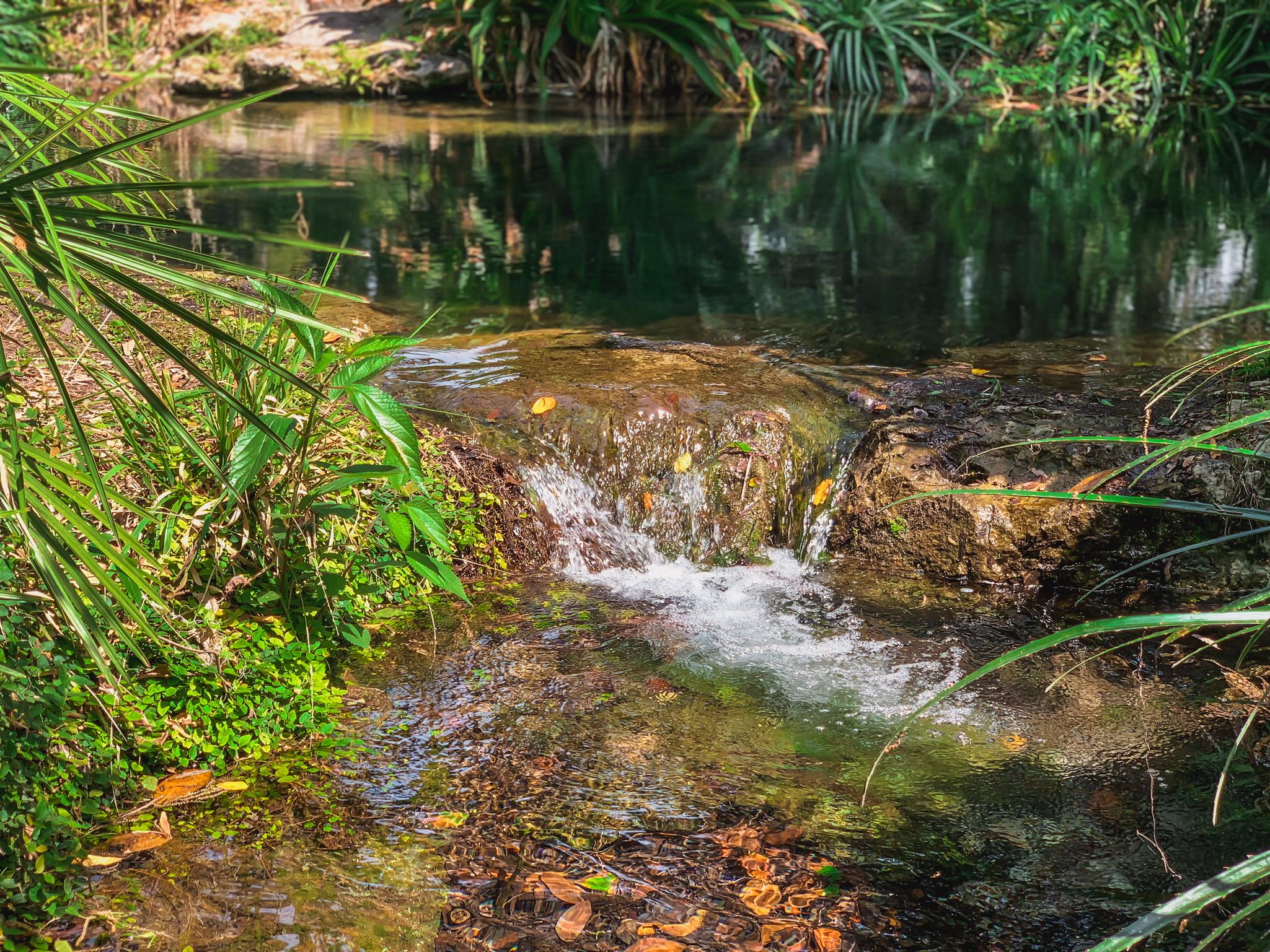 largest springs in florida