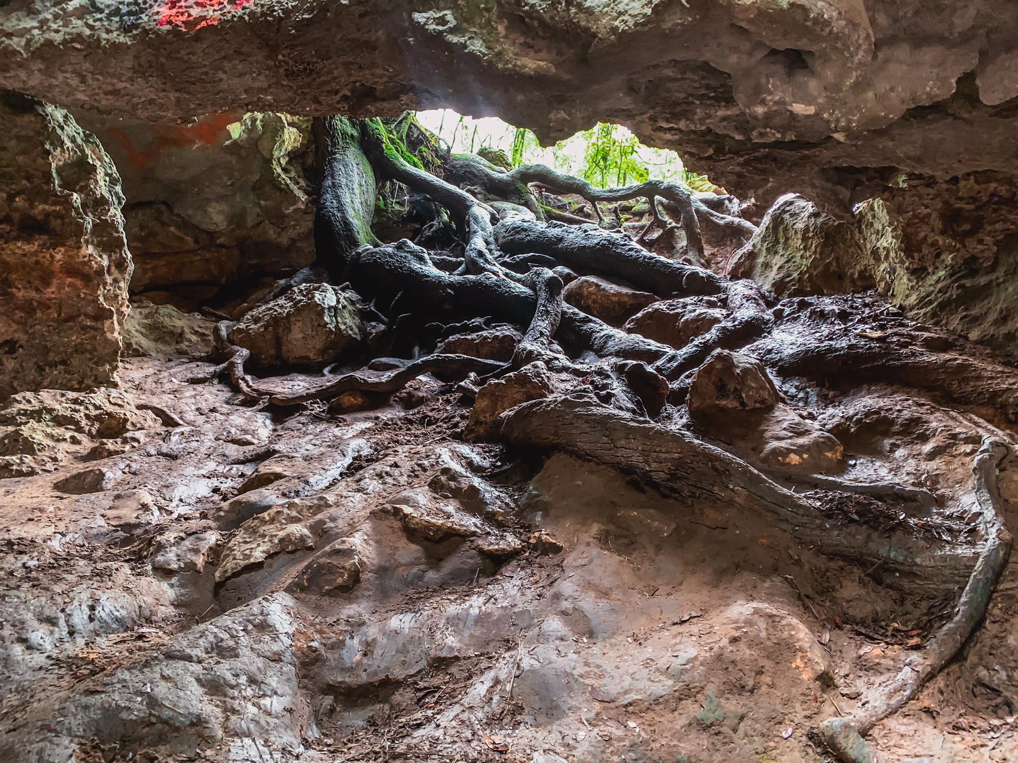inside dames cave