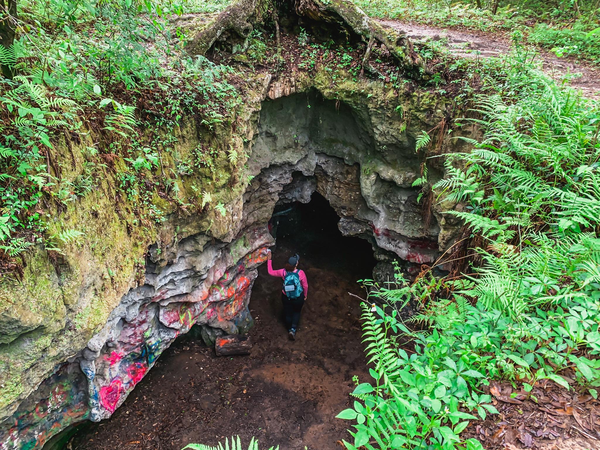 Withlacoochee State Forest caves
