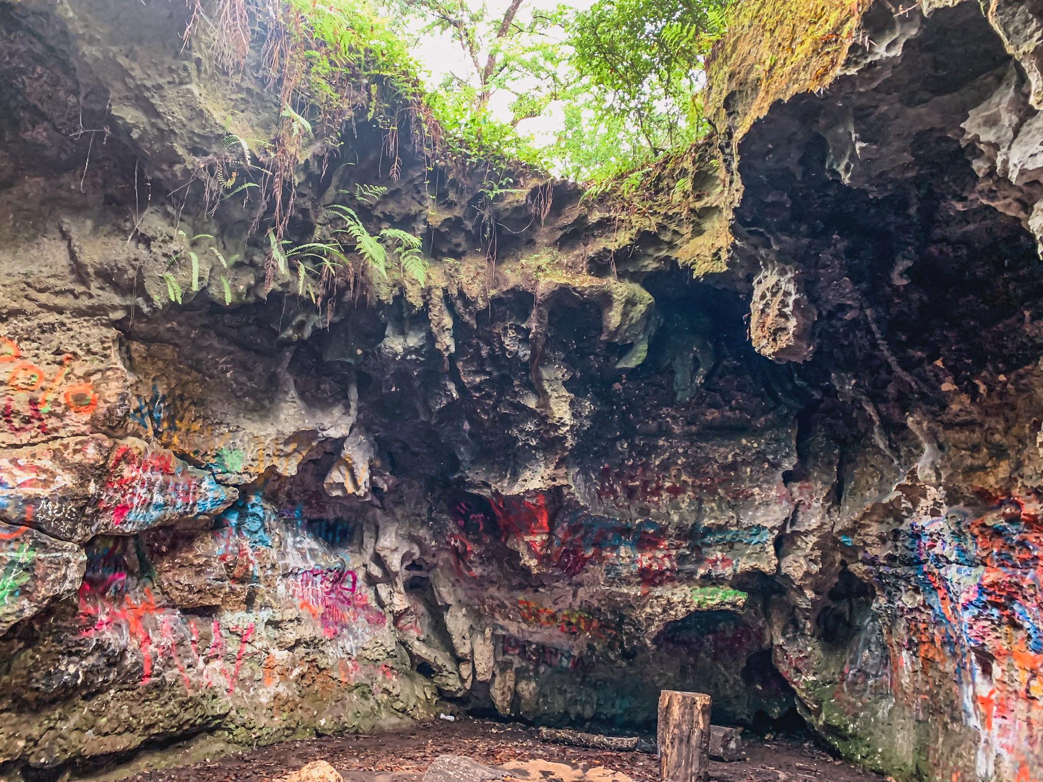 vandal cave in Withlacoochee State Forest