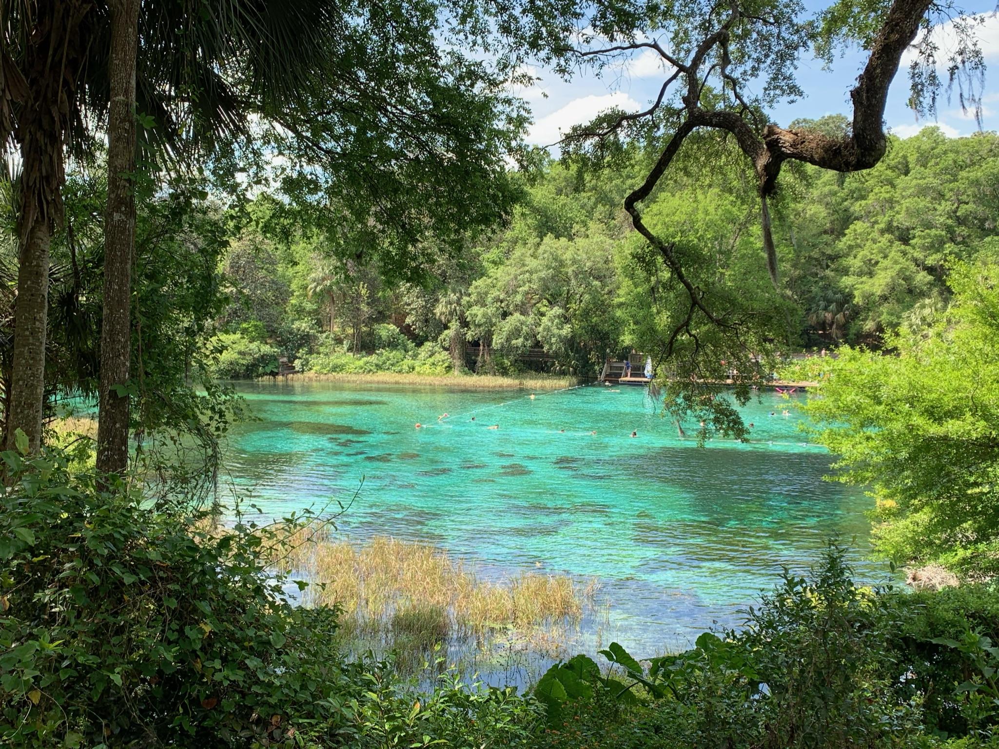 adventure travel in rainbow springs state park