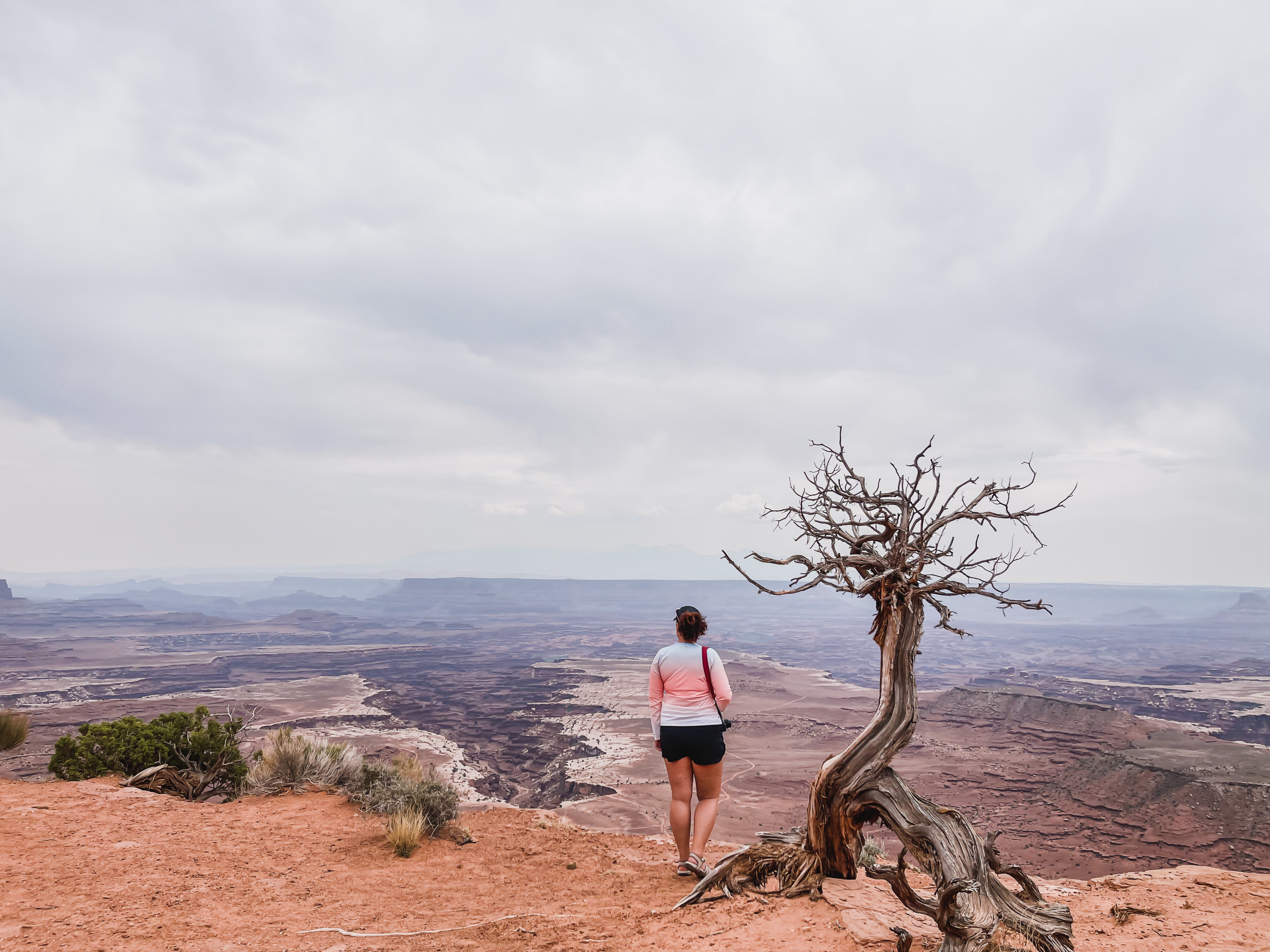 buck canyon overlook canyonlands national park
