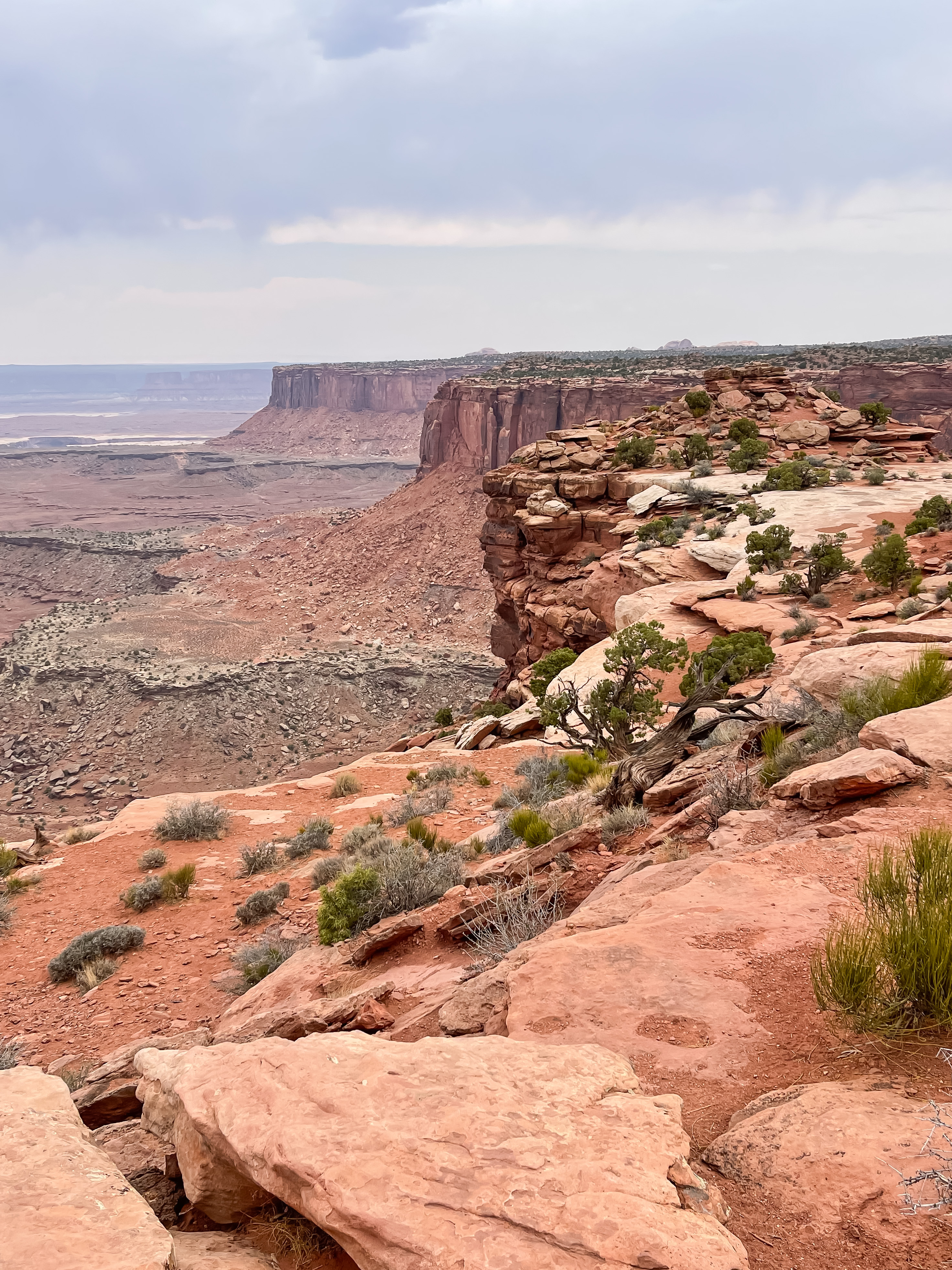 orange cliffs overlooks in island in the sky