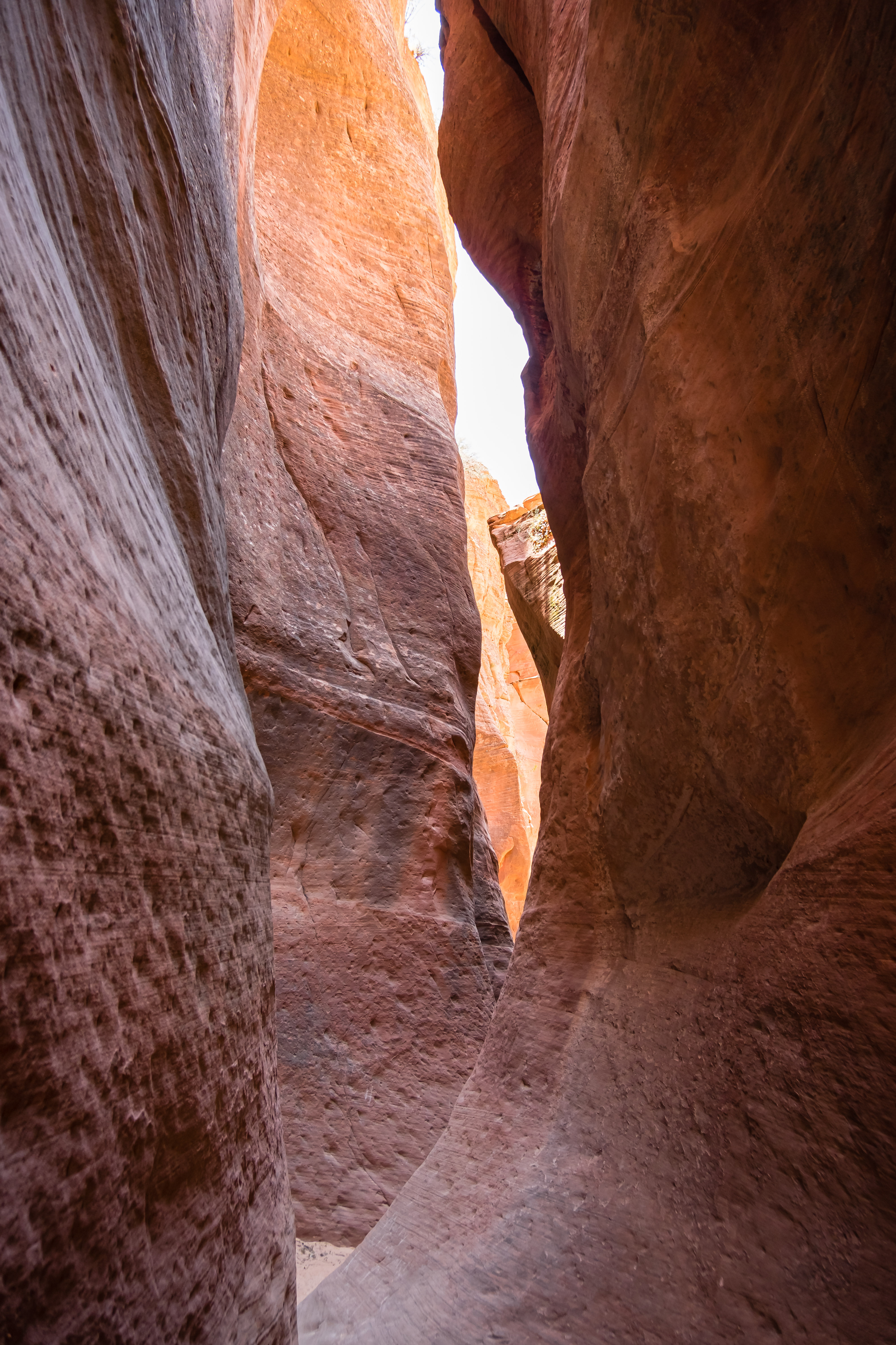red hollow canyon in utah