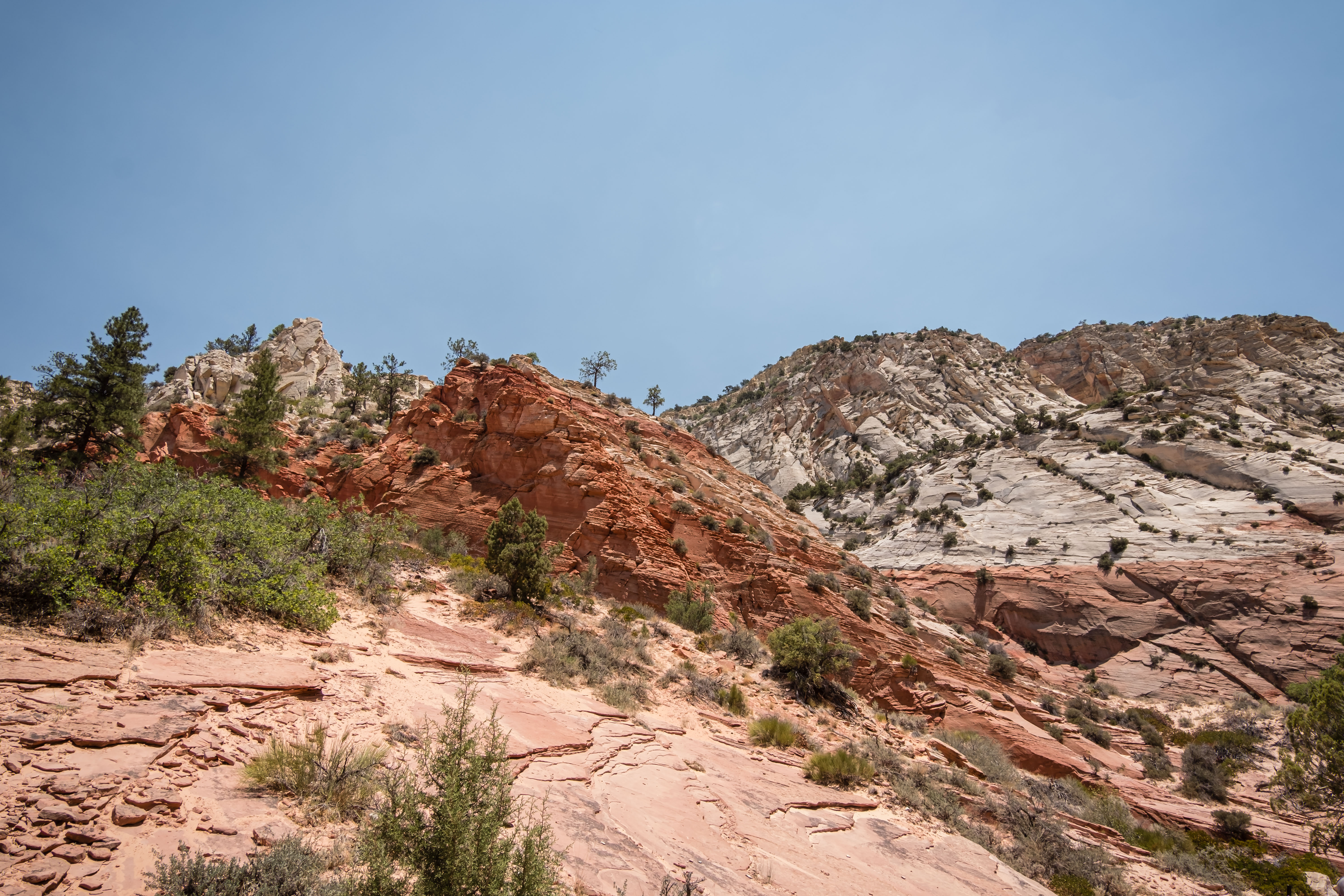 canyon views on red hollow slot canyon