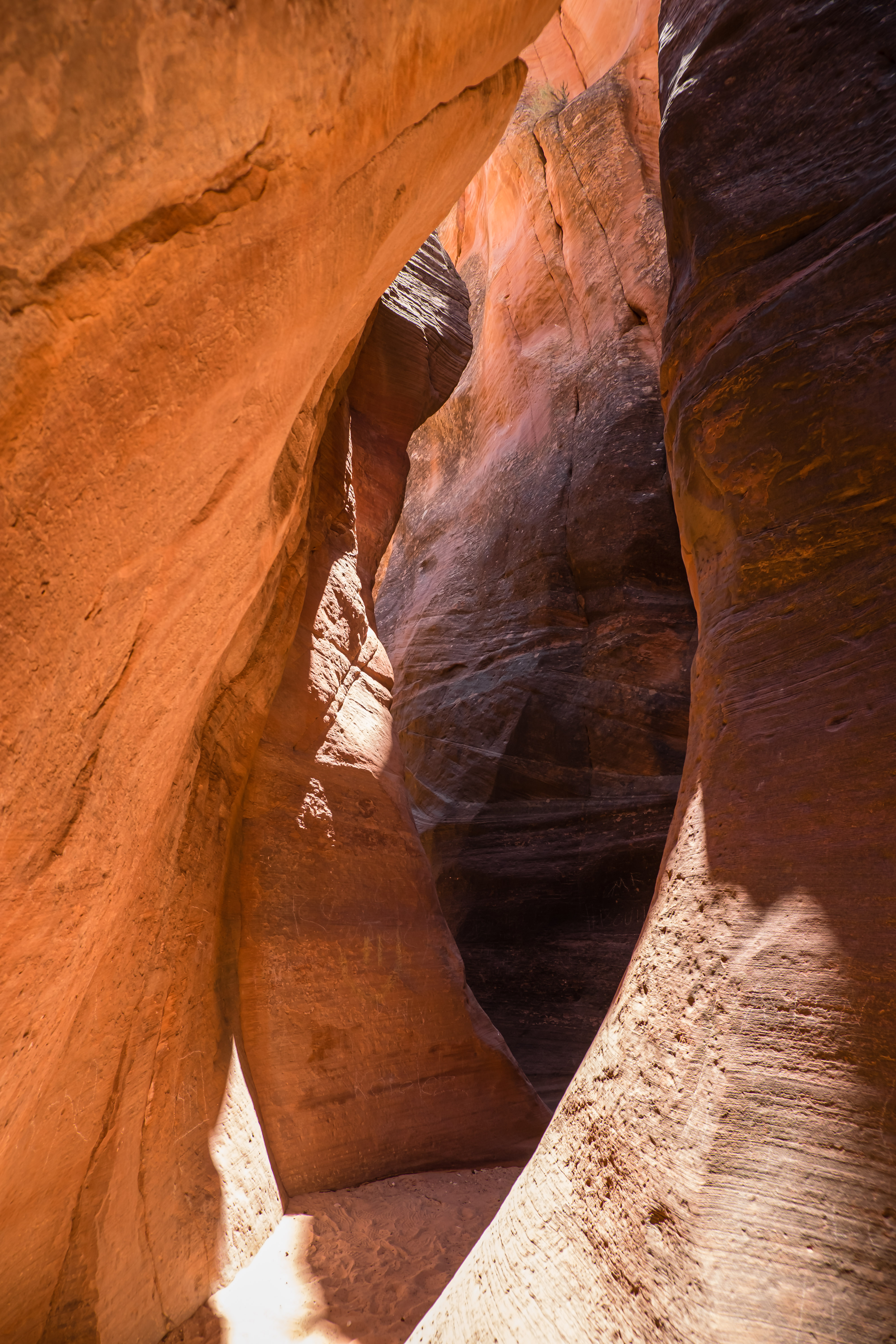 hiking near zion in utah