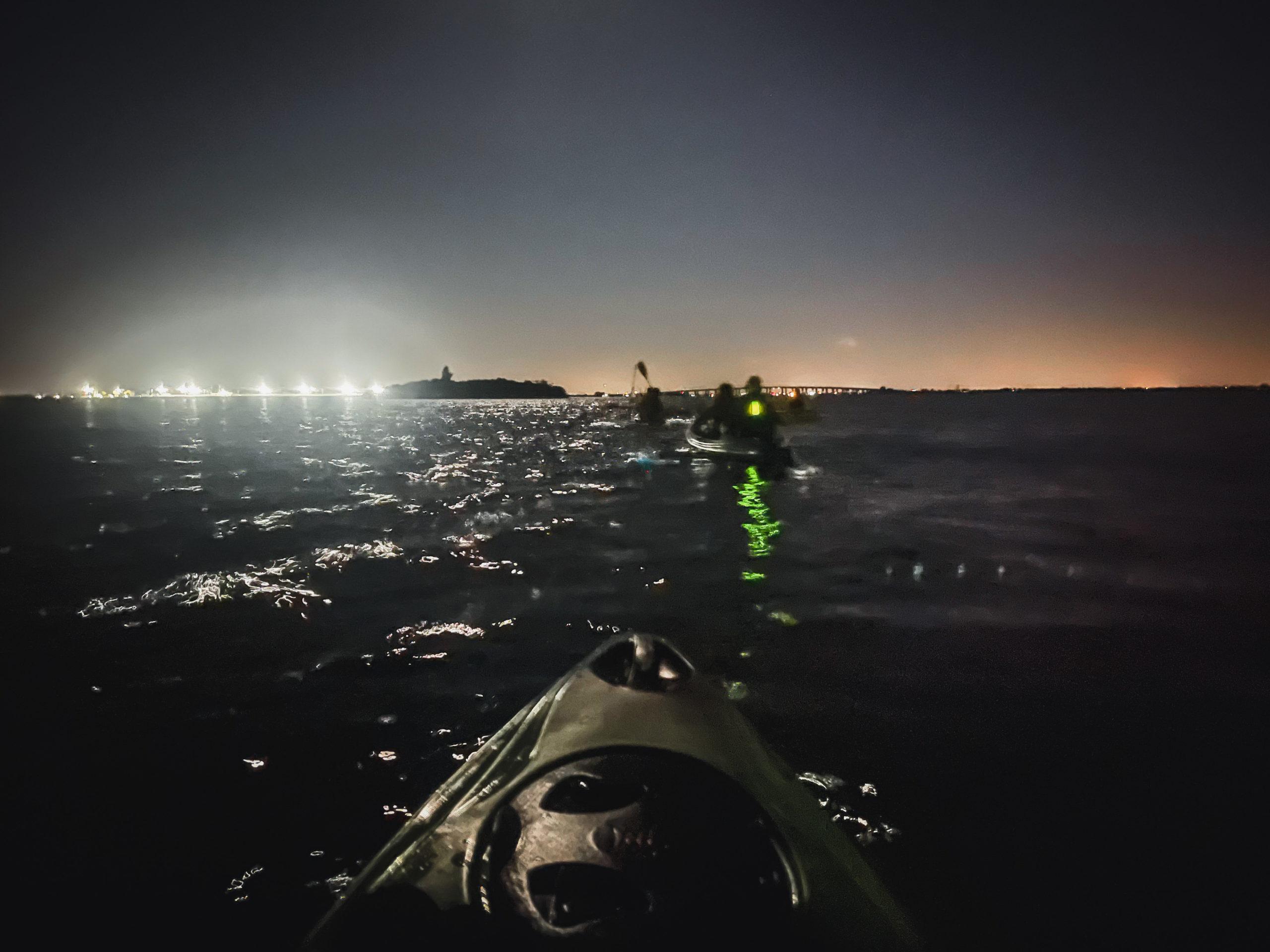 bioluminescence paddle in florida
