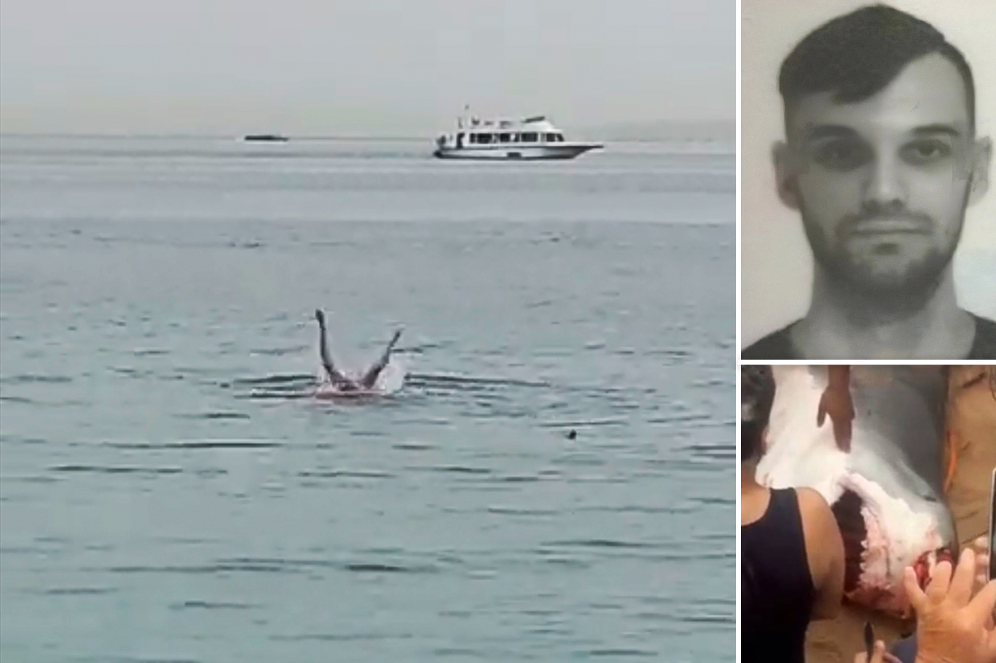 Russian Man Mauled to Death by Tiger Shark off the Coast of Egypt