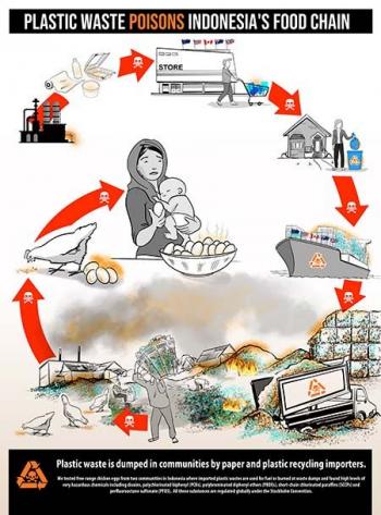 Peneliti Tingkat Racun Telur Ayam Di Jatim Terparah Sedunia