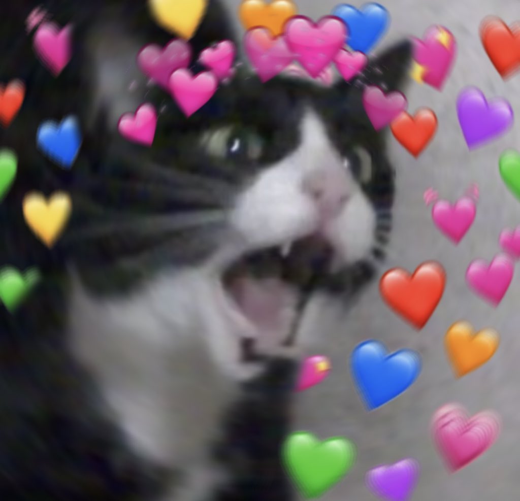 98 Hearts Crying Cat Wholesome Meme