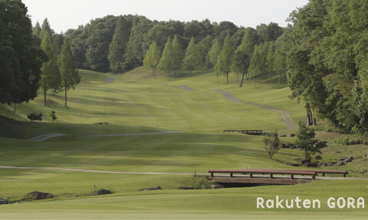 Rakuten is hitting the links with a new title sponsorship of a Ladies Professional Golfers’ Association of Japan (JLPGA) tournament: Rakuten Super Ladies.