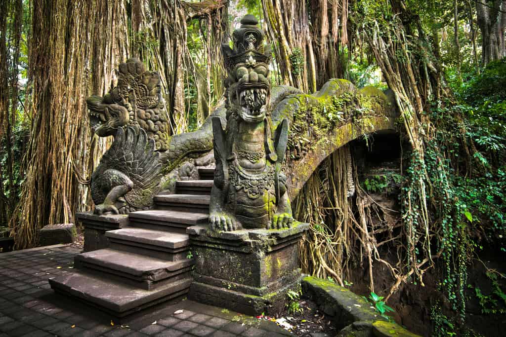 ubud monkey forest 