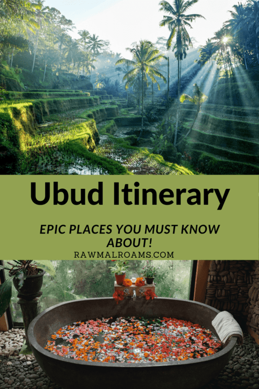 All the epic places in Ubud and Ubud area that you must see! 1,2,3,4 days Ubud Itinerary. #ubud #ubuditinerary #bali #balitravel #indonesia
